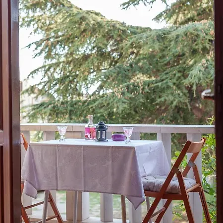 Limun - Ivo I Dragica Simic -